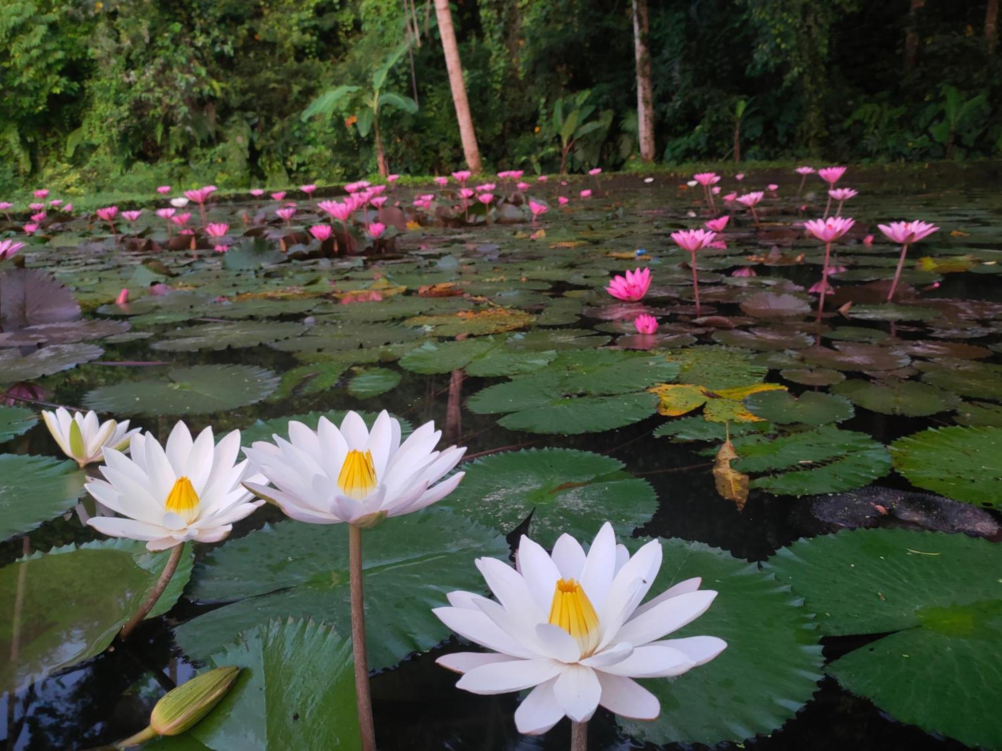 Villa Joglo Tepi Sungai Sidemen  Buitenkant foto