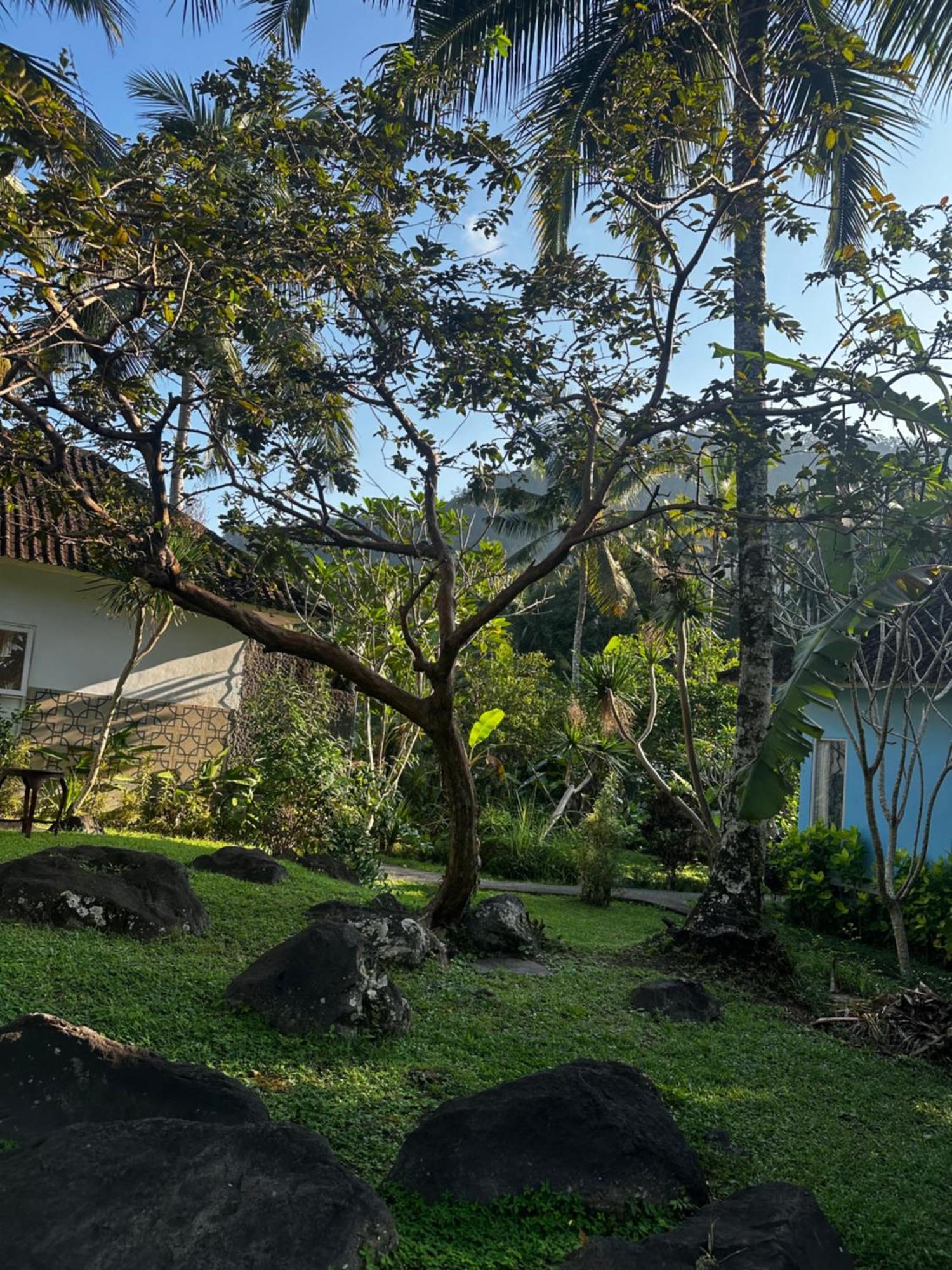 Villa Joglo Tepi Sungai Sidemen  Buitenkant foto